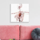 女性の循環系の医学的イラストレーション キャンバスプリント (インサイチュ (リビング))