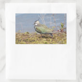 女性の愛撫 長方形シール (バッグ)