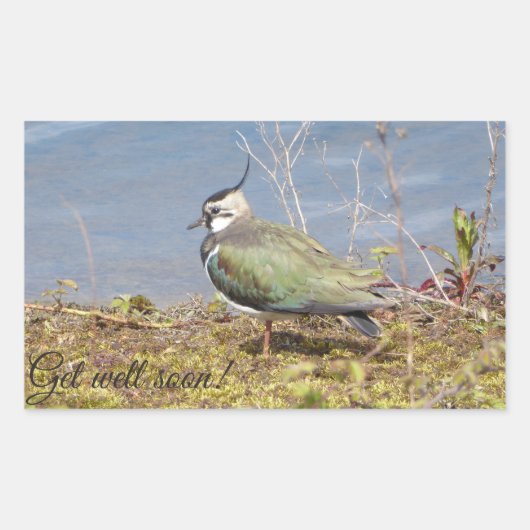 女性の愛撫 長方形シール (正面)