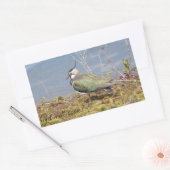 女性の愛撫 長方形シール (封筒)