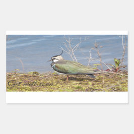 女性の愛撫 長方形シール