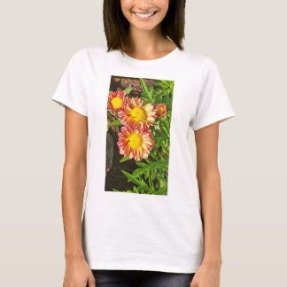 女性の新しいルックTシャツなど Tシャツ