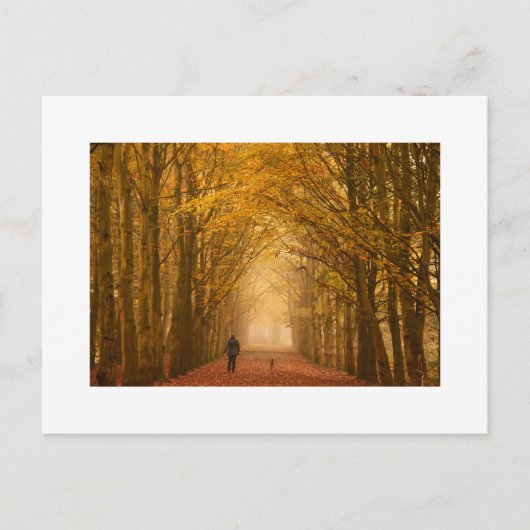 女性の歩くと彼女の犬の秋のモーニングカード ポストカード (正面)