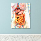 女性の消化循環系 キャンバスプリント (インサイチュ (ウッドフロア))