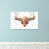 女性の生殖系の3dモデル キャンバスプリント (インサイチュ (ウッドフロア))