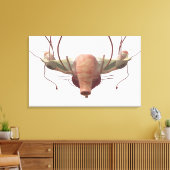 女性の生殖系の3dモデル キャンバスプリント (インサイチュ (リビング))