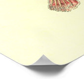 女性の筋肉とスケルトンの解剖学ポスター ポスター (角)