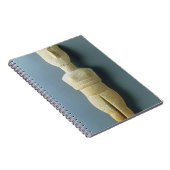 女性の置物、早いCycladic、紀元前のc.2800-2300 (m ノートブック (右側)