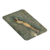 女性の美しいサンバスオンザポルティチビーチ マグネット (右側)