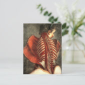 女性の背中の筋肉 ポストカード (スタンド正面)