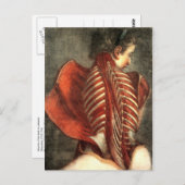 女性の背中の筋肉 ポストカード (正面/裏面)