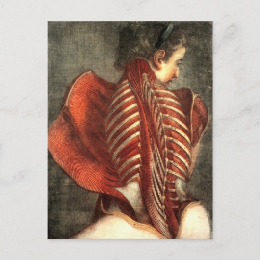 女性の背中の筋肉 ポストカード (正面)