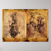 女性の胴ハートとその血管 ポスター (正面)