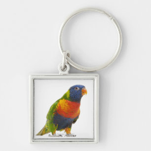 女性の虹Lorikeet - Trichoglossus キーホルダー