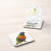 女性の虹Lorikeet - Trichoglossus コースター (右側)