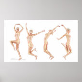 女性の解剖学 ポスター (正面)