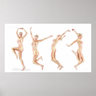 女性の解剖学 ポスター