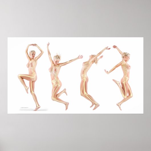 女性の解剖学 ポスター (正面)