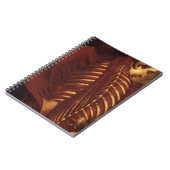 女性の解剖学/骨格 ノートブック (左側)