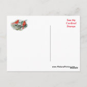 女性の（鳥）ショウジョウコウカンチョウはがき – 必要に応じてパーソナライズ ポストカード (裏面)