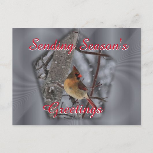 女性の（鳥）ショウジョウコウカンチョウはがき – 必要に応じてパーソナライズ ポストカード (正面)