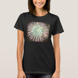 女性のHanesの心地よいの柔らかいTシャツ Tシャツ