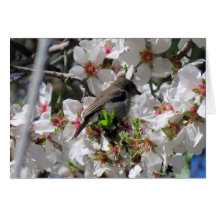 女性のsunbirdのすする果汁