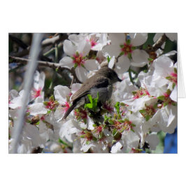 女性のsunbirdのすする果汁