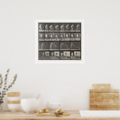 女性はバケツの水を投げ、プレート401から' ポスター (キッチン)