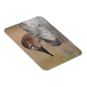 女性カンヴァスバックアヒルのプロフィール マグネット (右側)