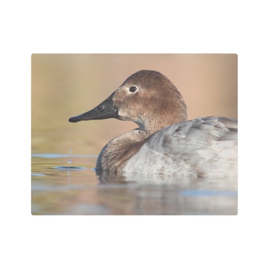 女性カンヴァスバックアヒルのプロフィール メタルプリント (正面)