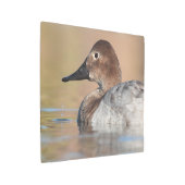 女性カンヴァスバックアヒルのプロフィール メタルプリント (アングル)