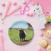 女性ガロウェイ牛の国，紙プレート ペーパープレート (パーティー)