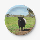 女性ガロウェイ牛の国，紙プレート ペーパープレート (正面)