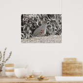 女性ガンベルのウズラのポスター ポスター (キッチン)