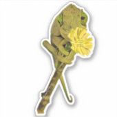 女性ジャクソンのカメレオンステッカー シール (正面)