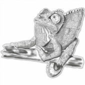 女性ジャクソンのカメレオン シール (正面)