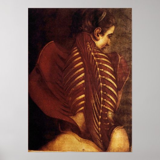 女性バックポスターの解剖学/骨格 ポスター (正面)