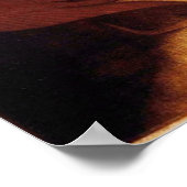 女性バックポスターの解剖学/骨格 ポスター (角)