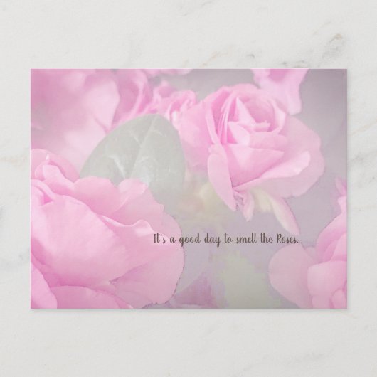 女性フローラピンクローズガーデン誕生日 ポストカード (正面)