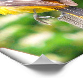 女性ボルチモアオリオール/プリント ポスター (角)