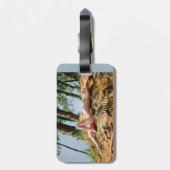 女性モデル日光浴サンダー_コーブ ラゲッジタグ (裏面縦)