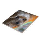 女性ヨークシャテリア タイル (側面)