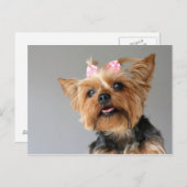 女性ヨークシャー ポストカード (正面/裏面)