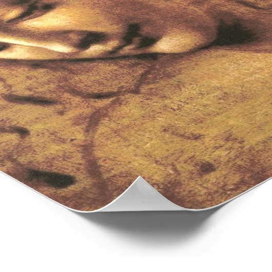 女性ラ・スカピグリアタレオナルド・ダ・ヴィンチの頭部 ポスター (角)