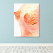 女性乳房解剖学の概念像1 キャンバスプリント (インサイチュ (ウッドフロア))