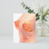 女性乳房解剖学の概念像1 ポストカード (スタンド正面)