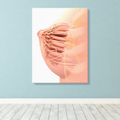 女性乳房解剖学の概念像2 キャンバスプリント (インサイチュ (ウッドフロア))