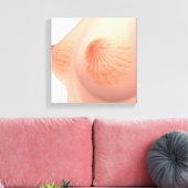 女性乳房解剖学の概念像4 キャンバスプリント (インサイチュ (リビング))