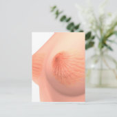 女性乳房解剖学の概念像4 ポストカード (スタンド正面)